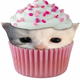 Destyn Calya's avatar